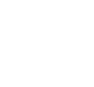 Fight Nation, en live