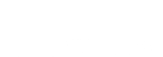 WAKO PRO